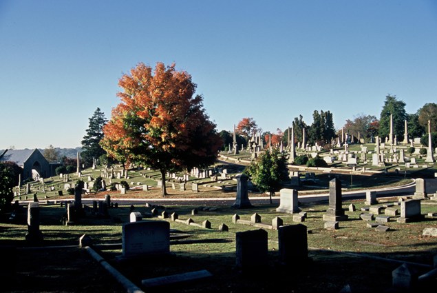 Hollywood Cemetary-4